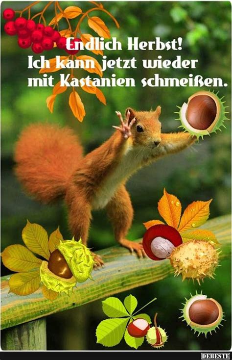 herbst lustig comic|Cartoons und Karikaturen mit Herbstlich.